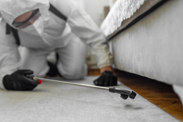 Professional Bed Bug Control technician working in Hazen, ND